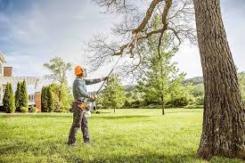  Raleigh Hills, OR Tree Services Pros